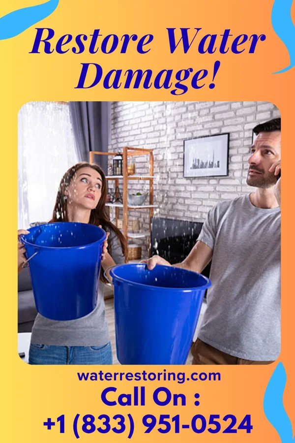 water restoration Titan Water Damage Partners Shoreham