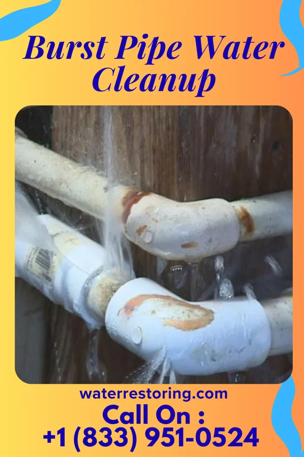 Burst Pipe Water Cleanup in Shoreham, MI