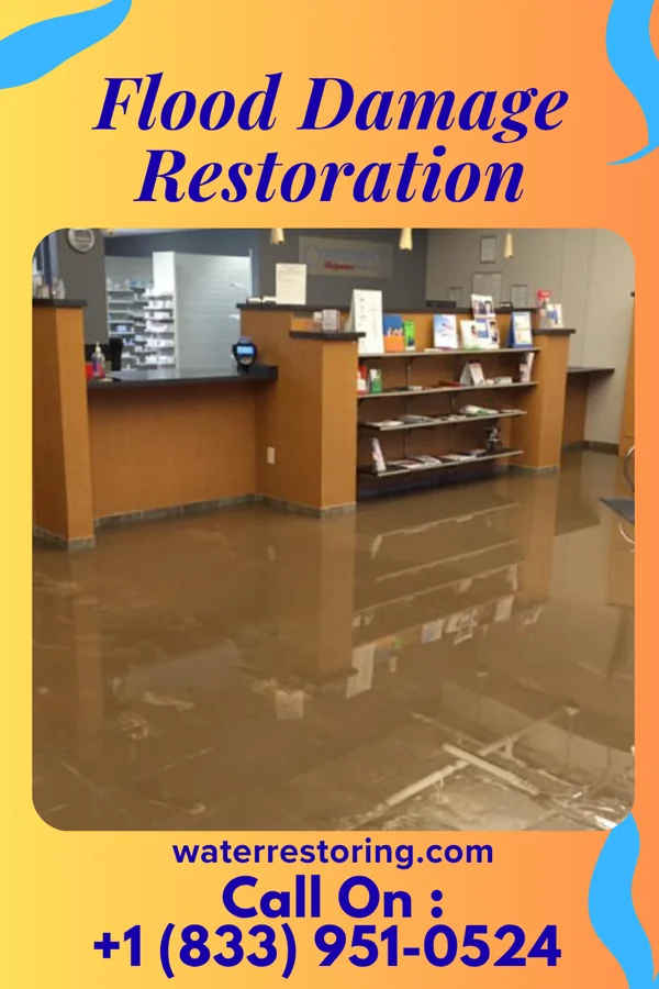 Flood Damage Restoration in Shoreham, MI