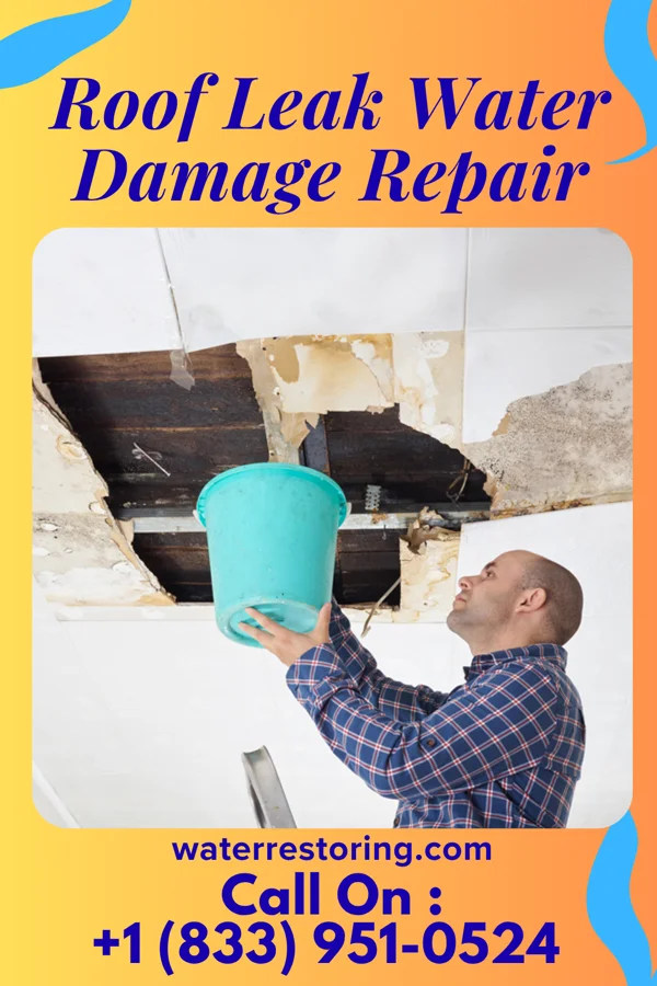 Roof Leak Water Damage Repair in Shoreham, MI