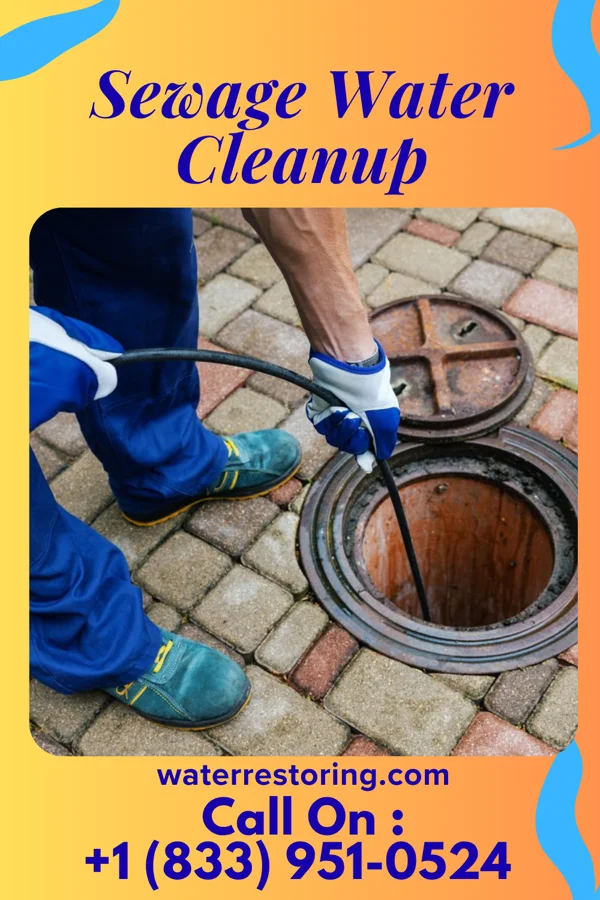 Sewage Water Cleanup in Shoreham, MI