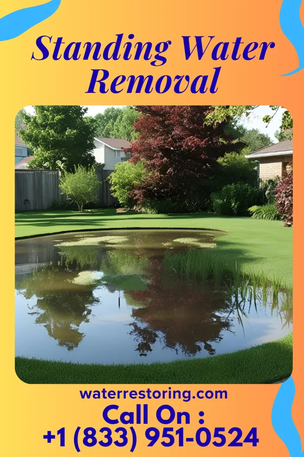 Standing Water Removal in Shoreham, MI